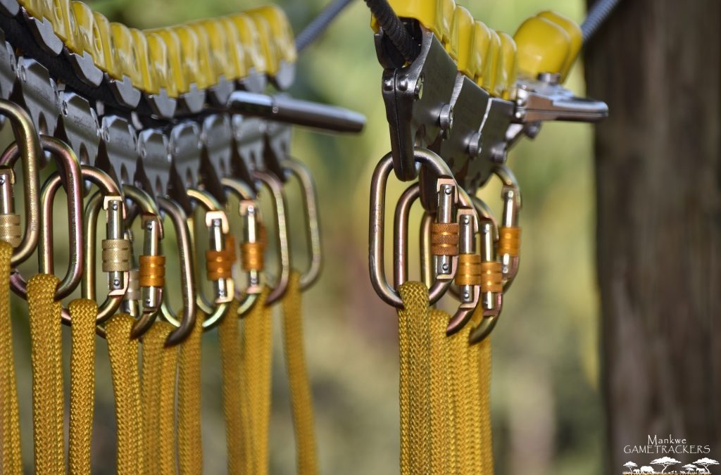 The Chimp & Zee rope adventure course is in full swing.