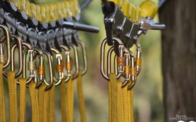 The Chimp & Zee rope adventure course is in full swing.