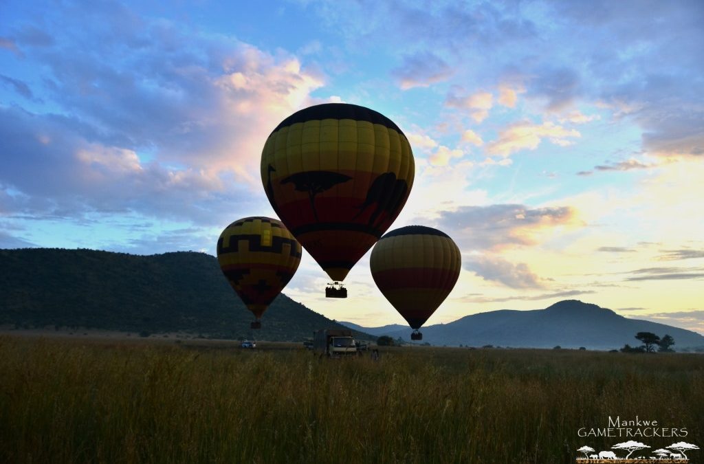 Take to the skies 2.