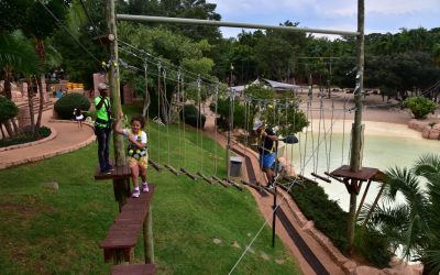 Activities to suit the whole family.