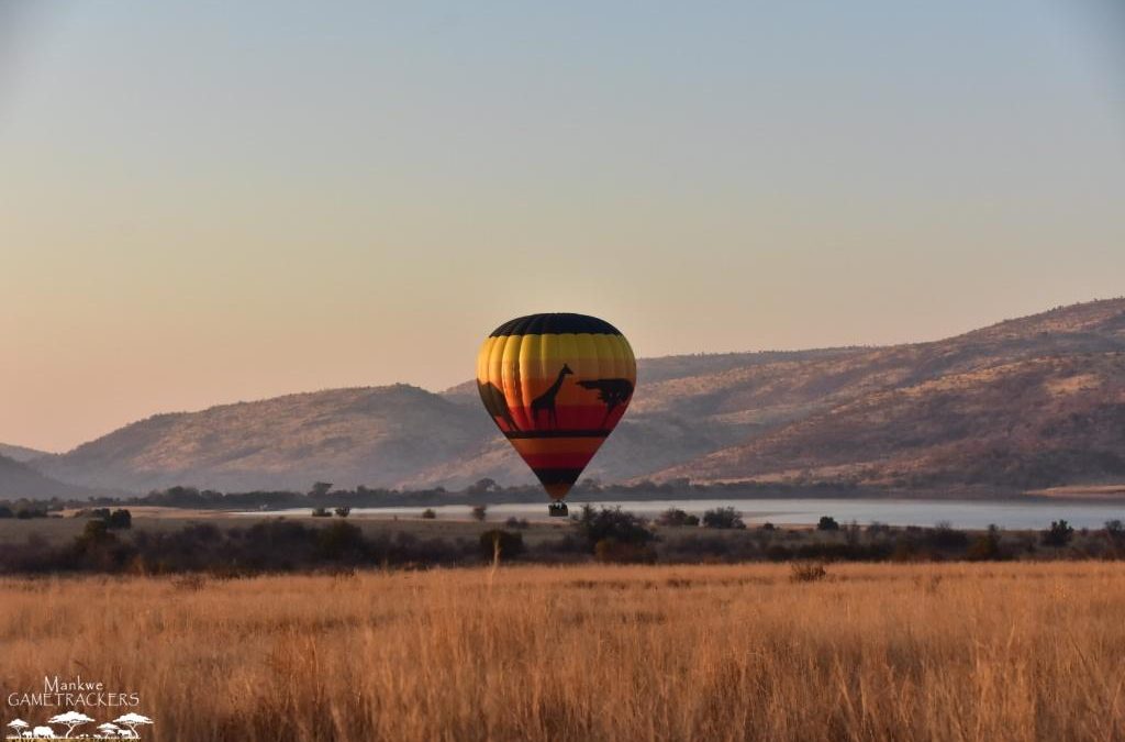 Our hot air balloon featured in a music video.