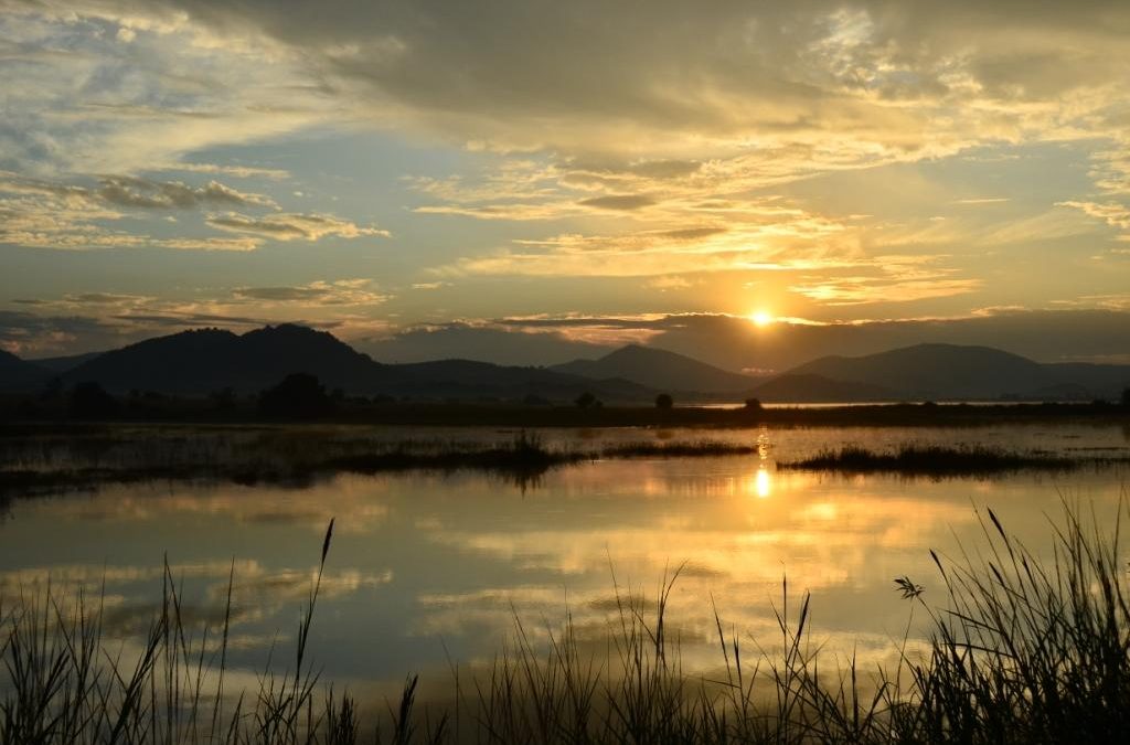 Happy World Environment Day!